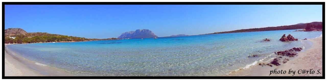 #Garibaldi 05 - Old Town Lägenhet Olbia Exteriör bild